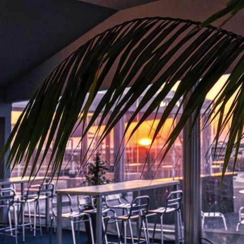 Coucher de soleil sur les terrasses du C.I.D