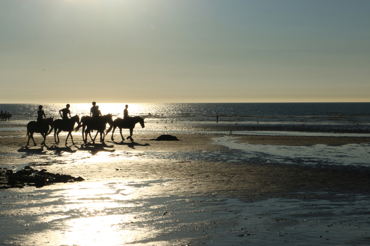 Chevaux sur la plage de Deauville