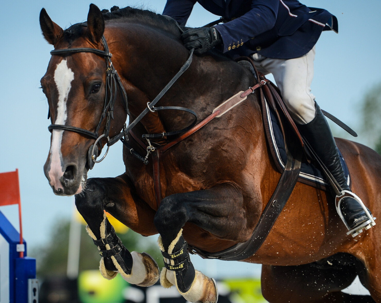 Sports équestres à Deauville